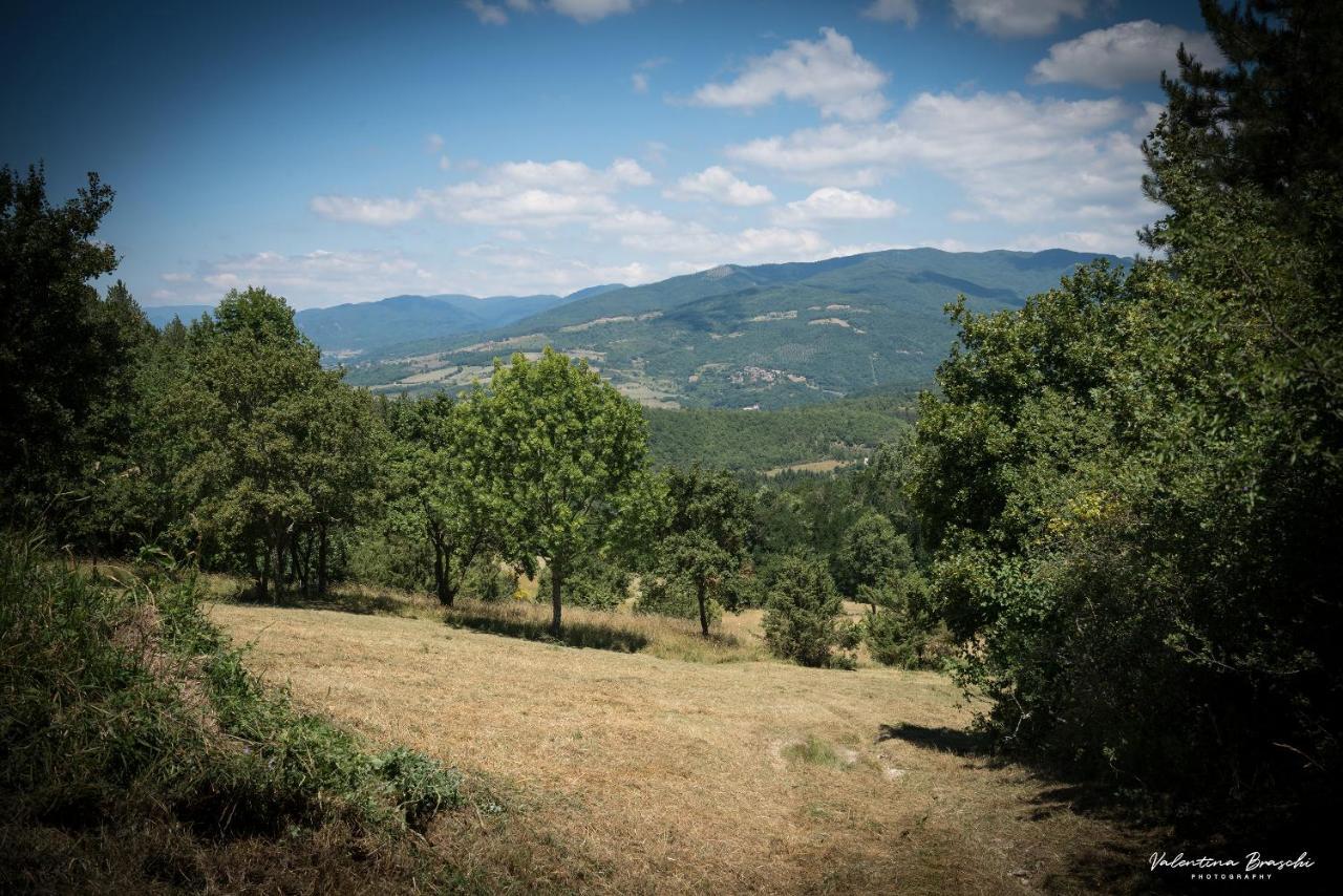 Castello Di Sarna Villa Chiusi della Verna Eksteriør bilde