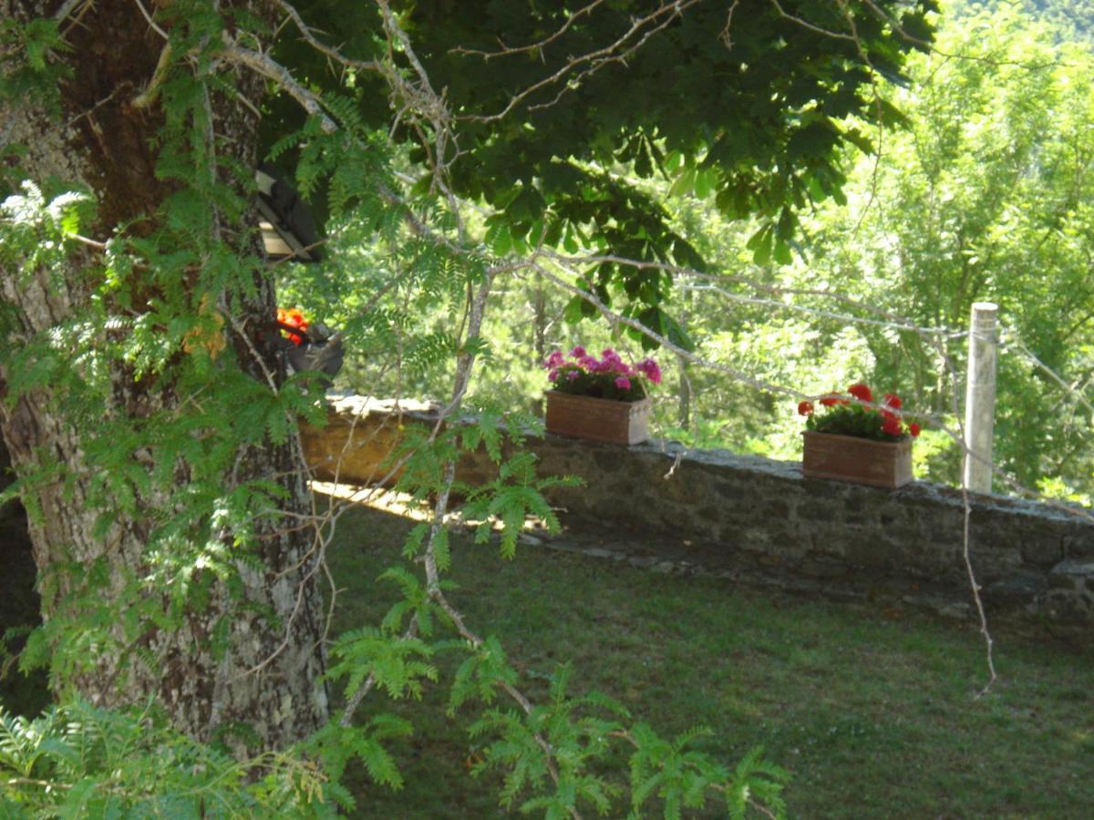 Castello Di Sarna Villa Chiusi della Verna Eksteriør bilde