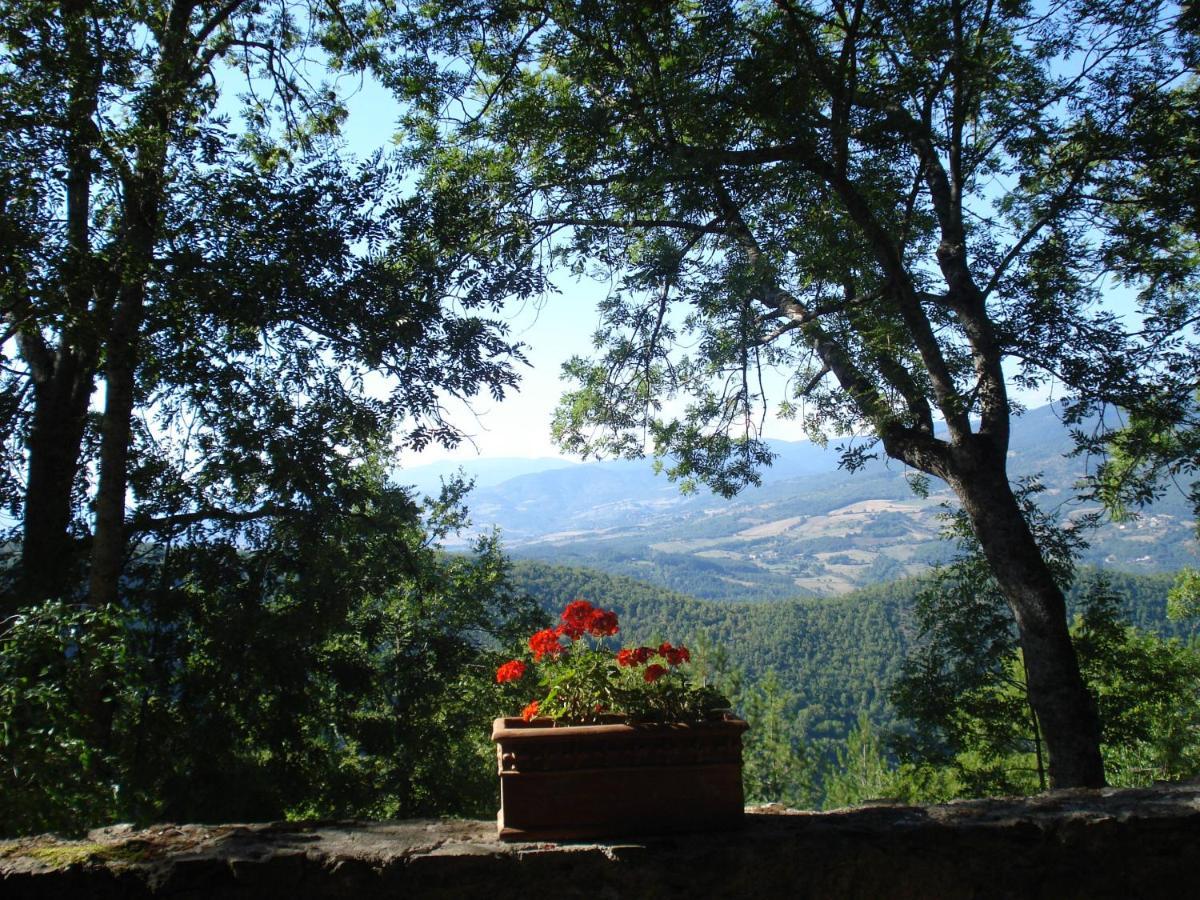 Castello Di Sarna Villa Chiusi della Verna Eksteriør bilde